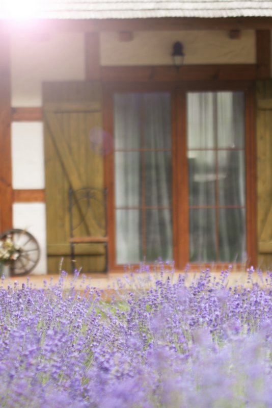 Lawendowa Chatka Zielona